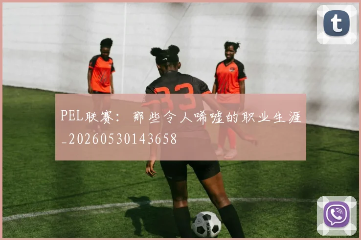 PEL联赛：那些令人唏嘘的职业生涯_20260530143658