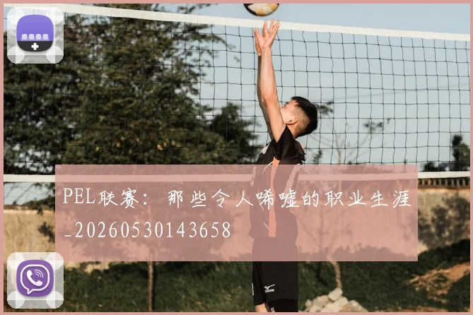 PEL联赛：那些令人唏嘘的职业生涯_20260530143658