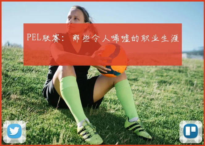 PEL联赛：那些令人唏嘘的职业生涯