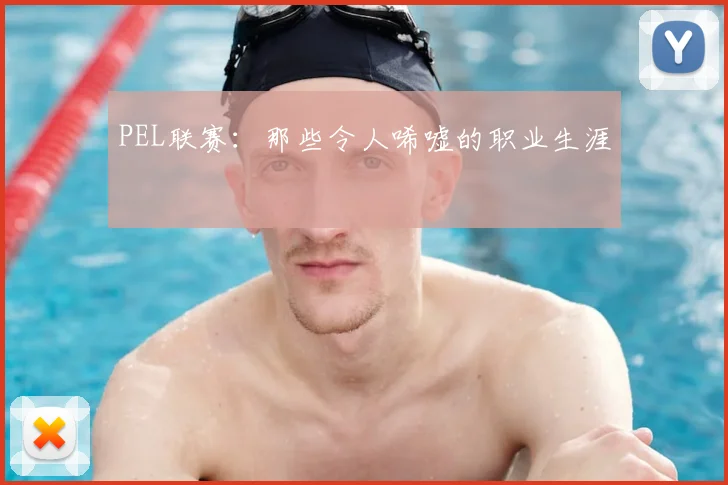 PEL联赛:那些令人唏嘘的职业生涯